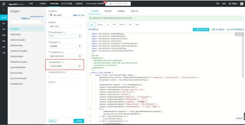解析阿里云短信服務(wù) isv.invalid json param 錯誤及信息系統(tǒng)集成應(yīng)對策略